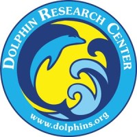 Dolphin Research Center logo, Dolphin Research Center contact details