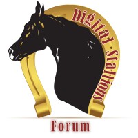 Digital Stallions Forum UAE logo, Digital Stallions Forum UAE contact details