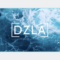 DZLA Company logo, DZLA Company contact details