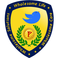 Wholesome Financial Partners logo, Wholesome Financial Partners contact details