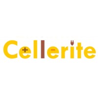 Cellerite Systems logo, Cellerite Systems contact details