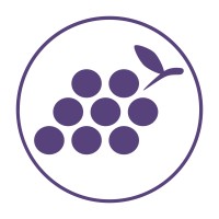 Cyber Grapes Services logo, Cyber Grapes Services contact details