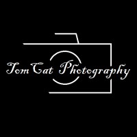 TomCat Photography logo, TomCat Photography contact details