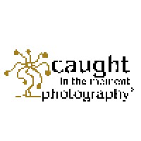 Caught in the Moment Photography logo, Caught in the Moment Photography contact details