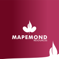 Mapemond Brand Consulting logo, Mapemond Brand Consulting contact details