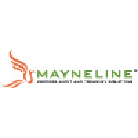 Mayneline Process Audit and Treasury Solutions L.L.C. logo, Mayneline Process Audit and Treasury Solutions L.L.C. contact details