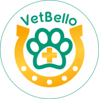 VetBello logo, VetBello contact details