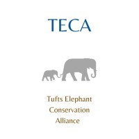 TECA logo, TECA contact details