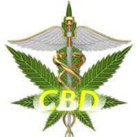 CBD OIL BENEFITS logo, CBD OIL BENEFITS contact details