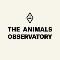 The Animals Observatory logo, The Animals Observatory contact details