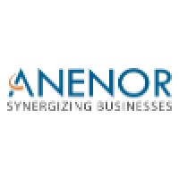 Anenor Information Systems Pvt. Ltd. logo, Anenor Information Systems Pvt. Ltd. contact details