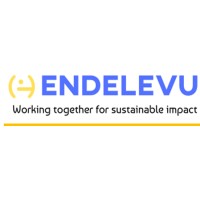 Endelevu Ghana logo, Endelevu Ghana contact details