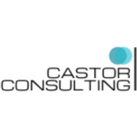 Castor Consulting LLC logo, Castor Consulting LLC contact details