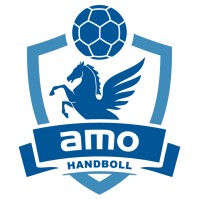 Amo Handboll logo, Amo Handboll contact details