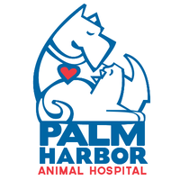 Palm Harbor Animal Hospital logo, Palm Harbor Animal Hospital contact details