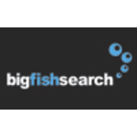 Big Fish Search logo, Big Fish Search contact details