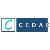 CEDAE Consulting logo, CEDAE Consulting contact details