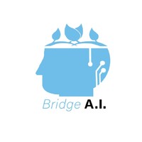 Bridge AI logo, Bridge AI contact details