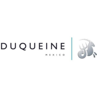 DUQUEINE Group Mexico logo, DUQUEINE Group Mexico contact details