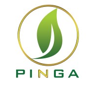 Pinga Agro Investment Limited logo, Pinga Agro Investment Limited contact details