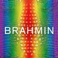 Brahmin Leather Works logo, Brahmin Leather Works contact details