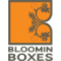 Bloomin Boxes logo, Bloomin Boxes contact details