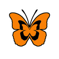 Liberfly SA logo, Liberfly SA contact details