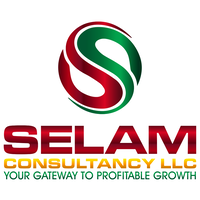 Selam Consultancy LLC logo, Selam Consultancy LLC contact details