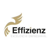 EFFIZIENZ Excelência Empresarial logo, EFFIZIENZ Excelência Empresarial contact details