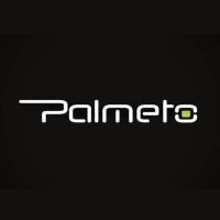 Palmeto Solutions logo, Palmeto Solutions contact details