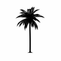 The Coconut Tree logo, The Coconut Tree contact details