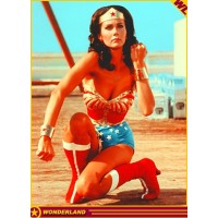 Wonder Woman logo, Wonder Woman contact details