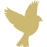 Sparrow Advisors logo, Sparrow Advisors contact details