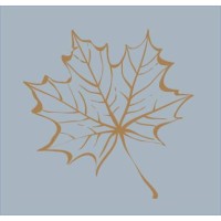 Copper Maple Consulting logo, Copper Maple Consulting contact details