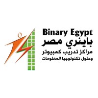 Binary Egypt logo, Binary Egypt contact details