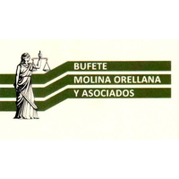 Bufete Molina Orellana & Asociados logo, Bufete Molina Orellana & Asociados contact details