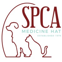 Medicine Hat SPCA logo, Medicine Hat SPCA contact details