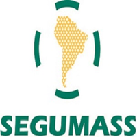 SEGUMASS Consultora logo, SEGUMASS Consultora contact details