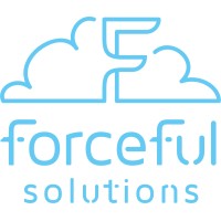 FORCEFUL SOLUTIONS LLC logo, FORCEFUL SOLUTIONS LLC contact details