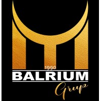 BALRIUM GRUP logo, BALRIUM GRUP contact details