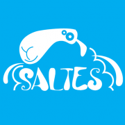 European Voluntary Service Association “SALTES” logo, European Voluntary Service Association “SALTES” contact details