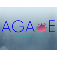 Agave Financial Services logo, Agave Financial Services contact details