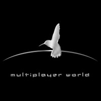 Multiplayer World; Corp. logo, Multiplayer World; Corp. contact details