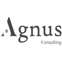 Agnus Consulting logo, Agnus Consulting contact details