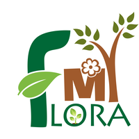 My Floraa logo, My Floraa contact details