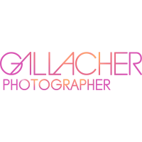 Andy Gallacher Photography Ltd logo, Andy Gallacher Photography Ltd contact details