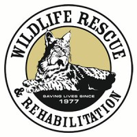 Wildlife Rescue & Rehabilitation Inc. logo, Wildlife Rescue & Rehabilitation Inc. contact details