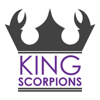 King Scorpions Pvt. Ltd. logo, King Scorpions Pvt. Ltd. contact details