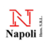 Napoli Hnos S.R.L. logo, Napoli Hnos S.R.L. contact details