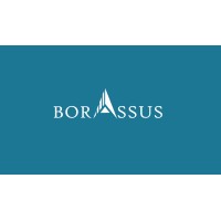 Borassus Infotech, Inc logo, Borassus Infotech, Inc contact details